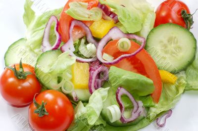 Salad