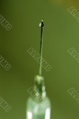 syringe close-up, focus on the drop