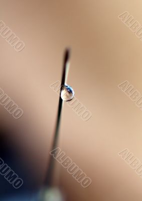 syringe close-up, focus on the drop