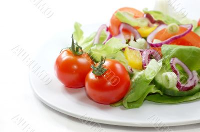 Salad