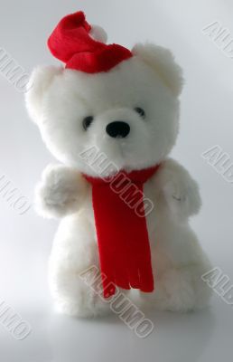 Teddy bear with Santa hat on a white background