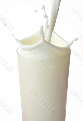 Milk