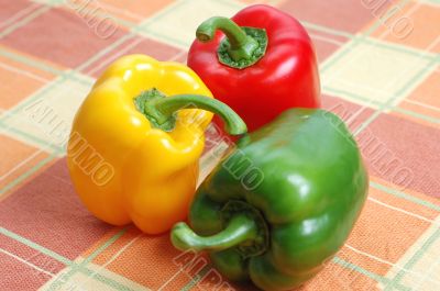 Fresh Vegetables