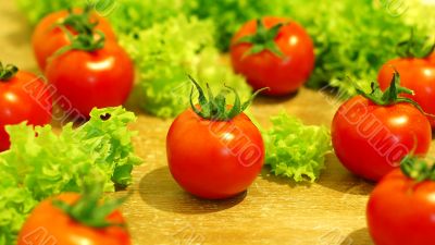 Fresh salad with tomatoes