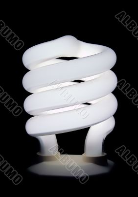 Compact fluorescent light bulb