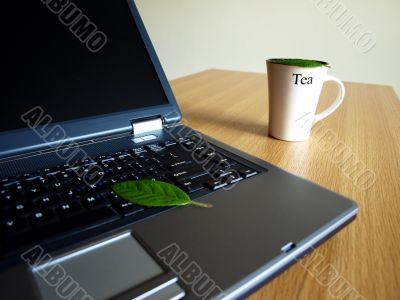 laptop and cup of tea