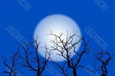 Trees and Moon Illustration