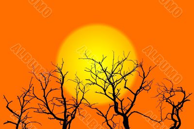 Sun and Trees Illustration