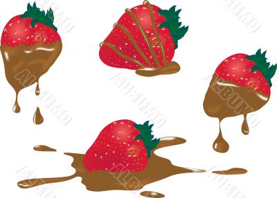 Strawberries dipped in chocolate