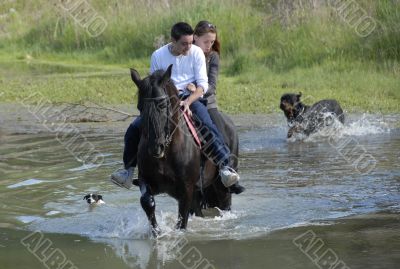 riding couple in a river with dogs
