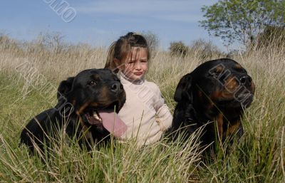 dangerous dogs and child