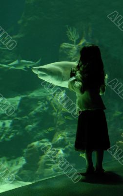 little girl and shark