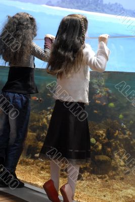 two sisters and big aquarium