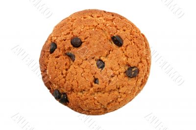 oatmeal cookie
