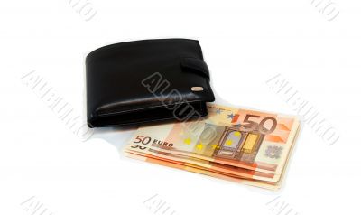 Isolated leather purse
