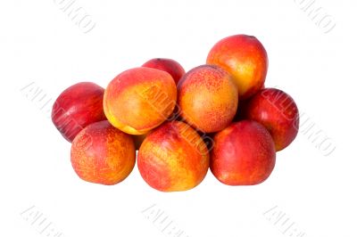 nectarines