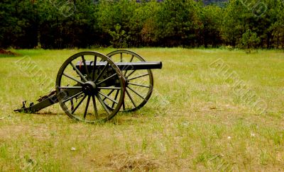 Cannon in Field