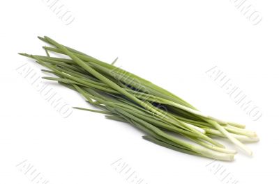 spring onions