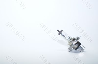 the bulb