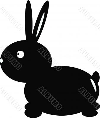 black-and-white rabbit