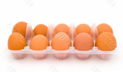 Ten eggs