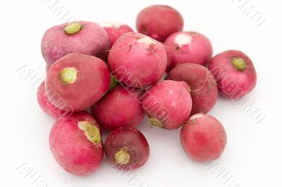 garden radishes