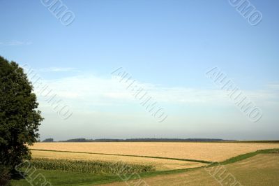 Country landscape
