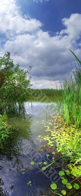 Vertical panorama of the river