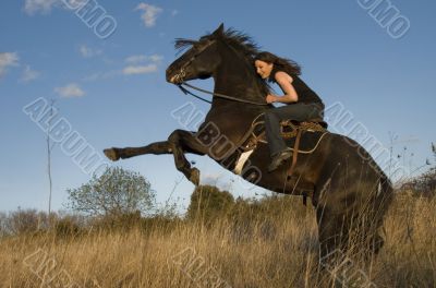 rearing stallion and girl
