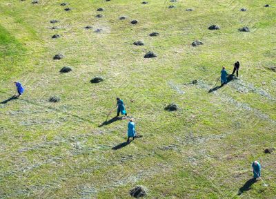 Cleaning of a grass in sheaves