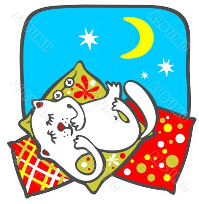 white cat