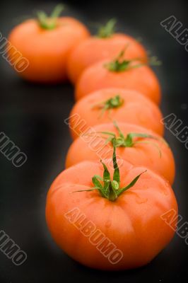 red tomatoes