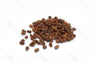 Cedar nutlets