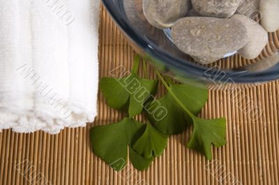 alternative medicine. ginkgo biloba therapy