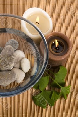 alternative medicine. ginkgo biloba therapy