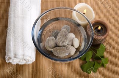 alternative medicine. ginkgo biloba therapy