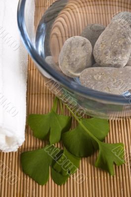 alternative medicine. ginkgo biloba therapy