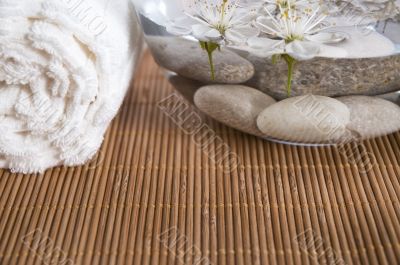 white wellness products