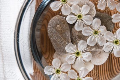 white wellness products