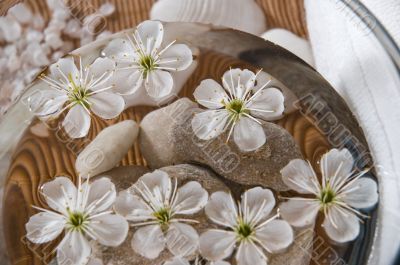 white wellness products