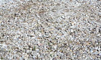 Fine white stones