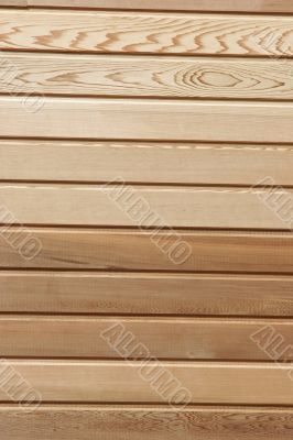 wood cedar texture