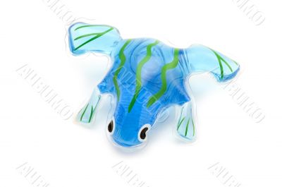 frog toy