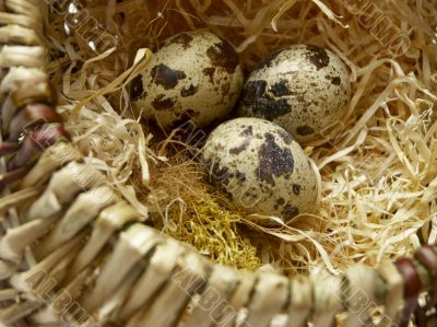 Easter gift