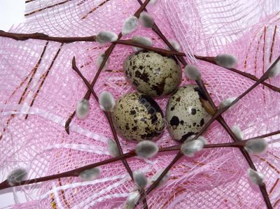 Willow and eggs6