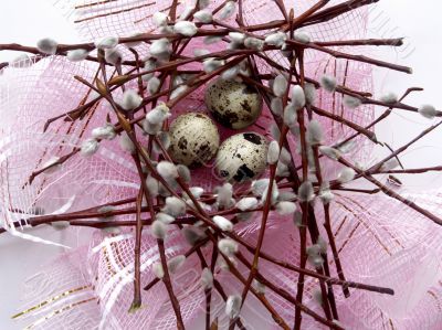 Willow and eggs