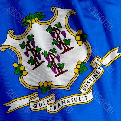 Connecticut Flag Closeup