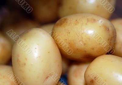 Fresh New Potatoes