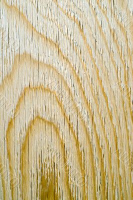 Close-up Wood Grain