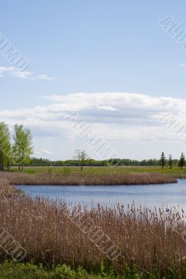 Wetlands